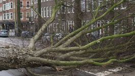 Búrka Fabienne udrela v Česku, zastavila vlaky, ľudia sú bez elektriny