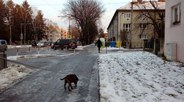 Počasie trápilo Slovensko: Dôchodcu z Levíc pripravila o život poľadovica