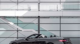 Mercedes-Benz-E53 AMG Cabriolet-2019-1024-07