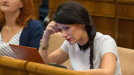 Cigániková kritizuje návrh zákona z dielne SNS o verejnom obstarávaní