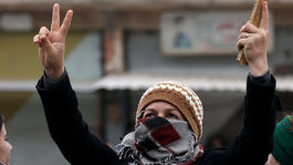 Olivovú ratolesť mierom ani necítiť