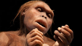 Ako sa vyvíjali Európania za 30-tisíc rokov?