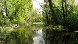 Mokrade. Svedomie aj spása človeka