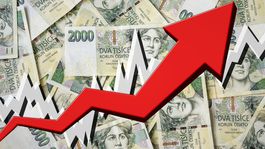 Na silnej českej korune zarábajú aj Slováci