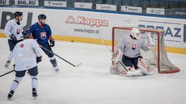 Hokej, Slovensko, tréning