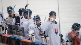 Hokejisti, Slovensko, tréning