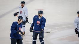 Slovensko, hokej, tréning