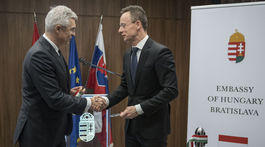 Viedeň krátením dávok pobúrila susedov