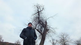 Má 120 rokov a zlomený konár. Bude Stromom roka?