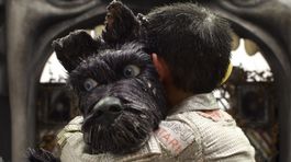 Berlinale 2018: Medveďa chce aj rocková opera