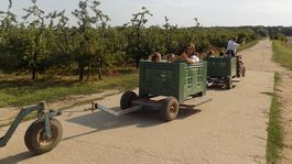 Ľudia ako malí akcionári