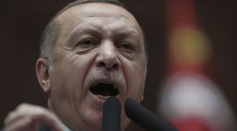 Erdogan kriesi Olivovú ratolesť