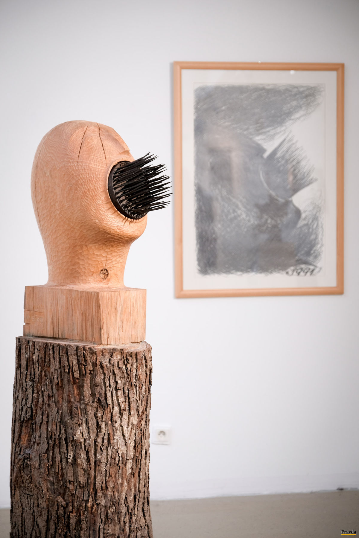 Štefan Kubík: Výkrik