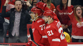 Gól Tatara nestačil na víťazstvo Detroitu, Boston otočil duel v Edmontone