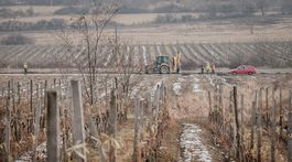 Diaľnica zabrala vinohrady