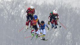 ZOH 2018, skikros