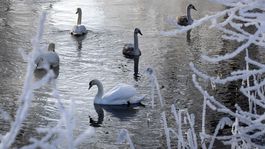 Nízke nočné teploty zo stredy na štvrtok boli miestami rekordné