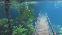 Keď je záplava krásna: Vyliata rieka vytvorila unikátny podvodný svet