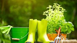 Pripravte sa na sezónu