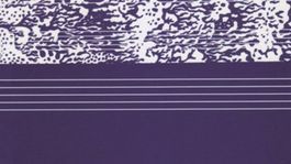 Etela Farkašová: Scenár