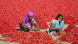 Dokážu čili papričky predlžovať život seniorov?