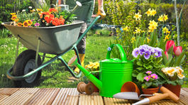 10 pravidiel pre peknú záhradu