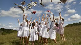 Folklór dostali do Vienka