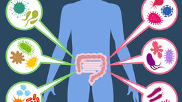 Mikrobióm ovplyvňuje aj fyzický výkon