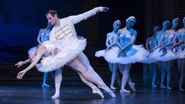 Labutie jazero je Hamletom baletného repertoáru