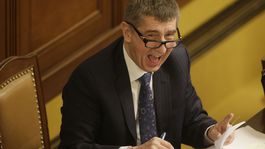 ANO schválilo koaličnú dohodu s ČSSD