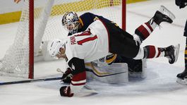 Pánik musí hrať rýchlo. Vtedy je pre nás prospešný, tvrdí tréner Arizony