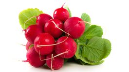 Reďkovka - dáte si "flamboyant" či "cencúľ"? Pozrite si video