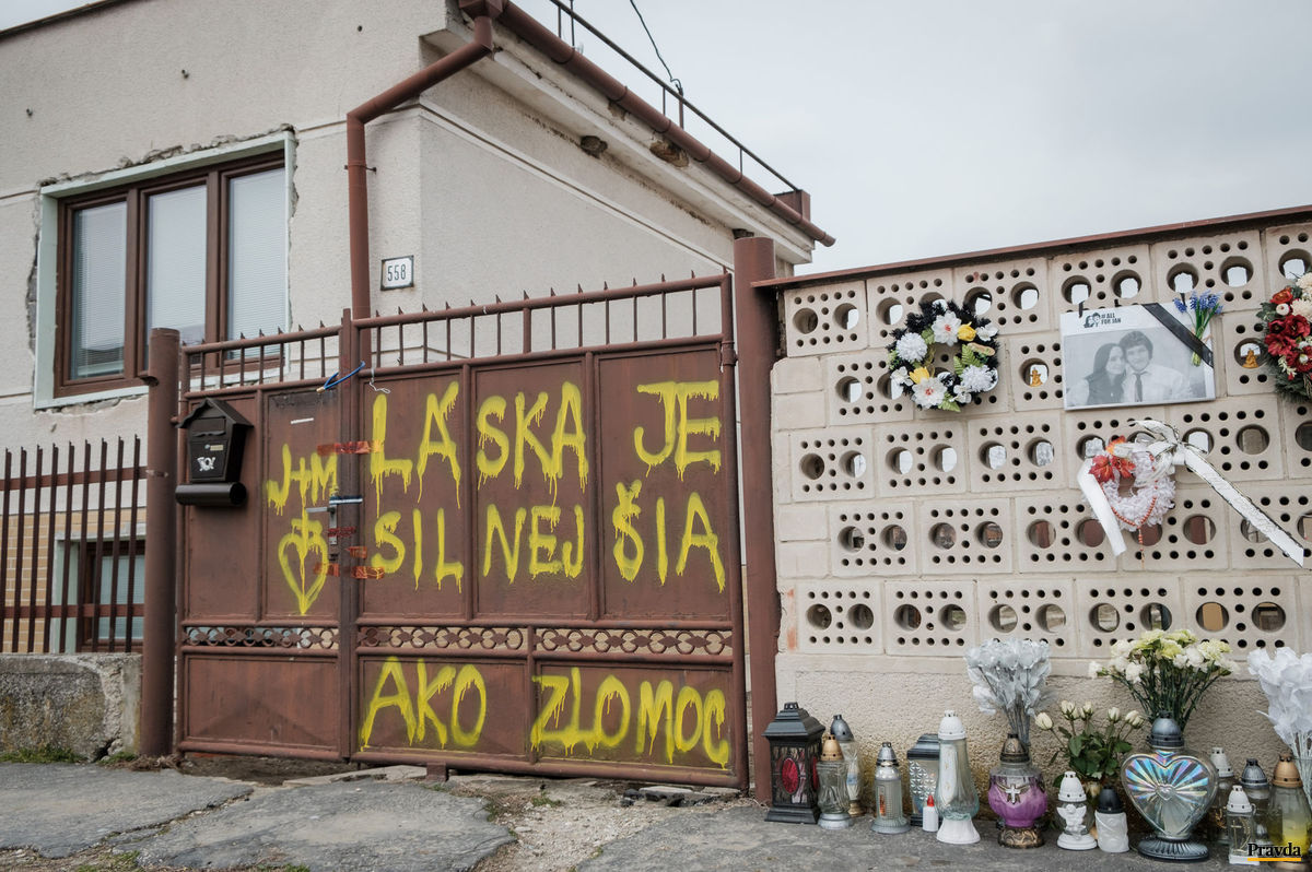 Veľká mačička kamery