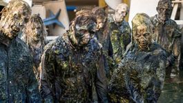 Tomu sa hovorí reštart! Zombíci idú zabojovať o prežitie