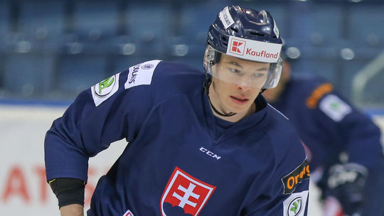 hokej, zraz reprezentacie, Ďaloga