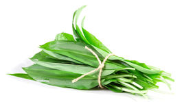 Nielen chutný, aj zdravý: Tri pozitívne účinky medvedieho cesnaku