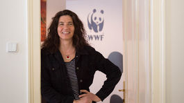 Dunaj potrebuje slobodu, nie ďalšie okovy