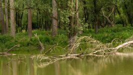 Návrh zákona Lex Žitný ostrov zakazuje golfové ihriská a postreky