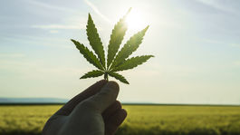 Vojny proti drogám. Boje emócií 