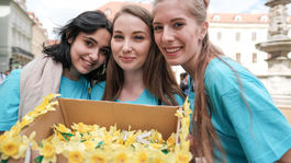 Deň narcisov opäť rozsvietil žltú rakovine