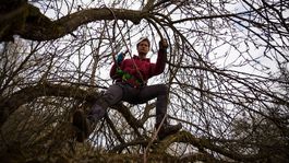 Potulní sadári a partizánski štepári