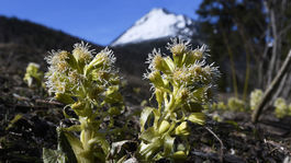 Návštevnosť Tatier počas zimy stúpla o 5 %, najviac bolo Slovákov