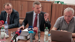 Poslankyňa za SNS nepodporila Pellegriniho