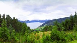 Nórske stromy poškodili chemikálie, ktoré používali nacisti