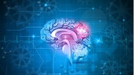 Ľudia, ktorí boli ako deti zanedbávaní, majú menšie mozgy