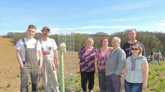 Rodiny v obci Hlboké si sadili rodové lipy....