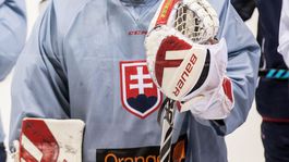 ANKETA: Poraďte Ramsaymu. Kto by mal byť brankárskou jednotkou na MS?