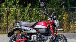 Honda Monkey - 2018