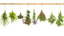 Tipy, triky, nápady: Sušenie byliniek má svoje pravidlá