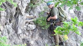 Úhyn dravcov nemá konca